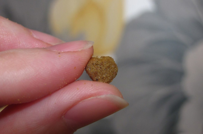 ПроПлан для кошек ПроПлан корм для кошек