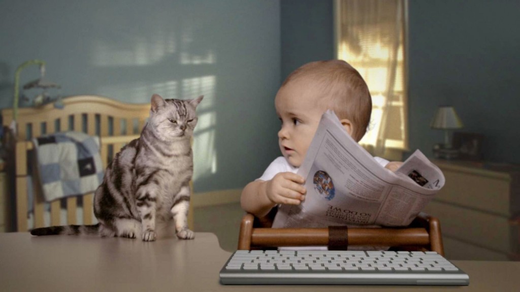 Кошки и дети изображение Кошки и дети