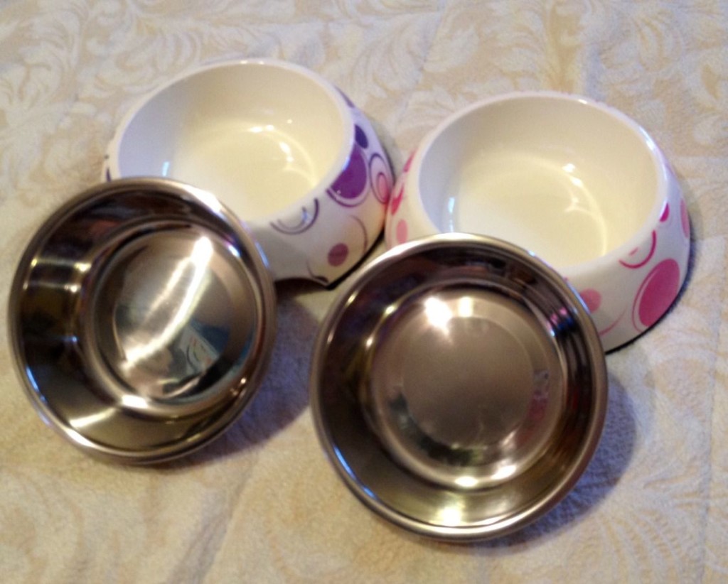 автоматическая кормушка для кошек фото миски для кошек фото